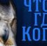 Финал Регионального чемпионата по интеллектуальной игре «Что? Где? Когда?» - Управление образования