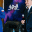 Акция «Классные встречи РДШ» - Управление образования
