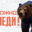 Описание для слабовидящих - Ковдорский район