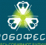 Всероссийский технологический фестиваль «РобоФест – 2022» - Управление образования