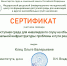 Сертификат участника семинара "Доступная среда для инвалидов по слуху" - Центр соцобслуживания населения