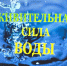 Живительная сила - Центр соцобслуживания населения